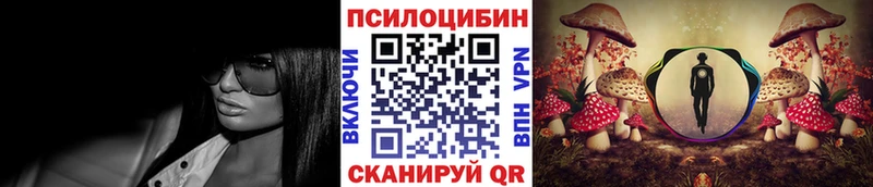 где купить наркоту  Саров  Псилоцибиновые грибы мухоморы 