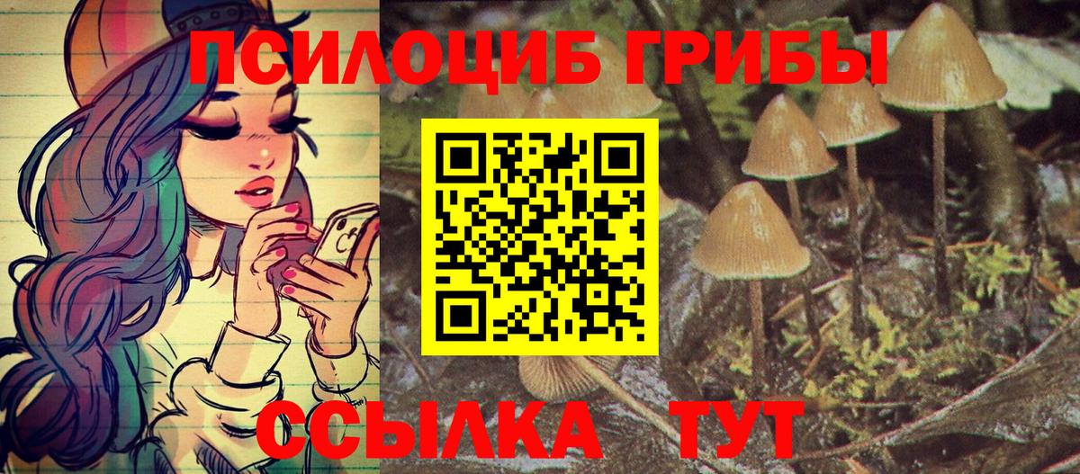 Саров  Галлюциногенные грибы прущие грибы  Вход с VPN  Галлюциногенные грибы прущие грибы 