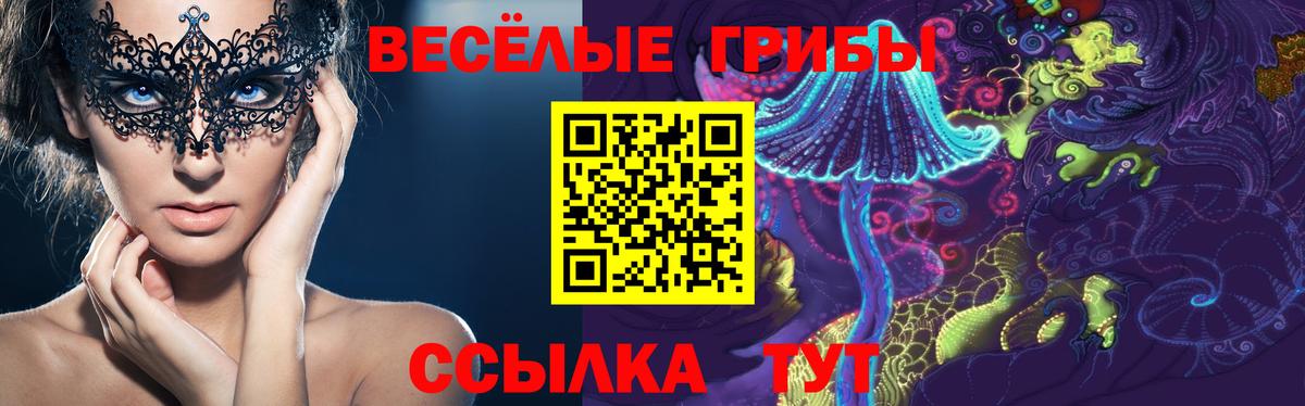 Псилоцибиновые грибы Psilocybe Саров